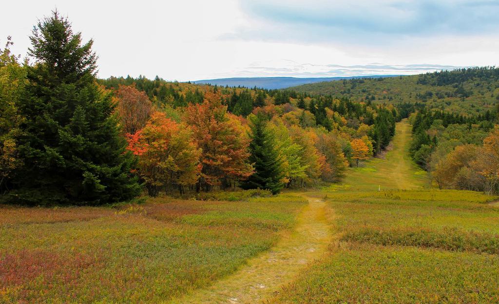 Canaan Valley Resort State Park Davis Extérieur photo