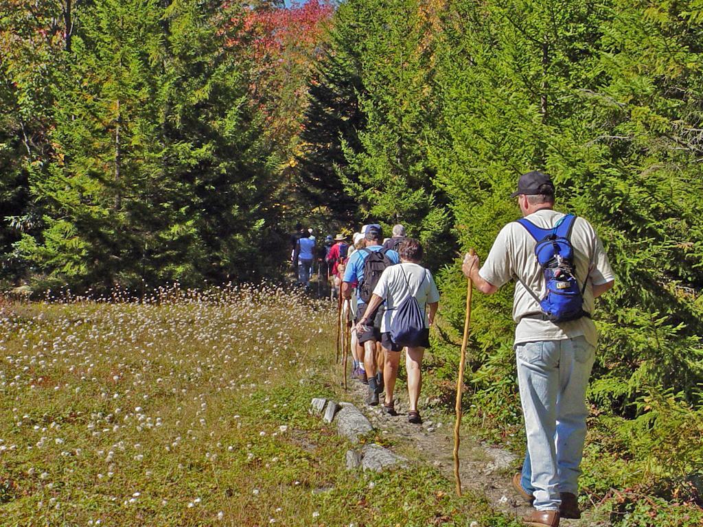 Canaan Valley Resort State Park Davis Extérieur photo